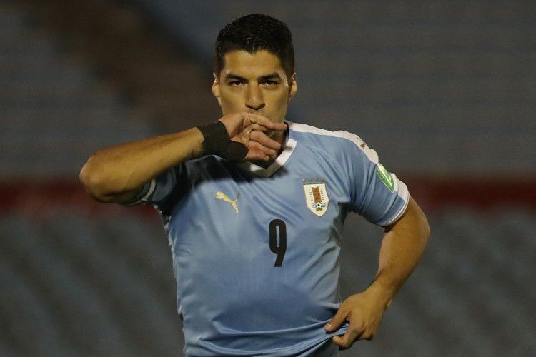 DVD高清完整版