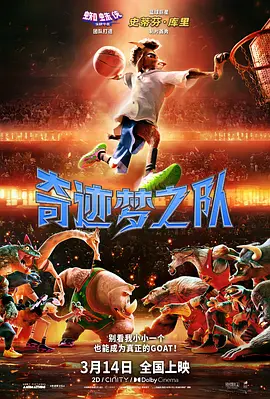 完结完整版观看