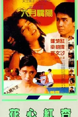 完结完整版观看