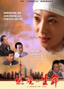字幕全集免费观看