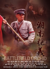 BD国语电影免费在线