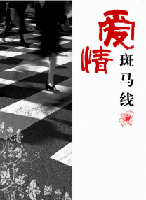 完结完整版观看