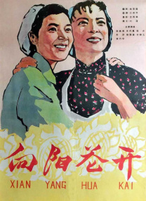 BD国语电影免费在线